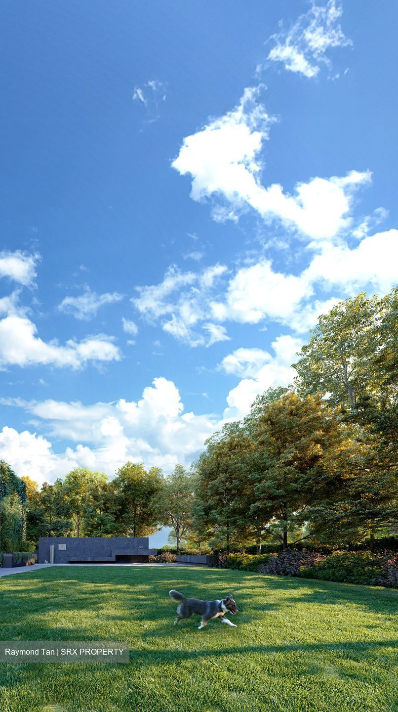 Amber House (D15), Apartment #576614491